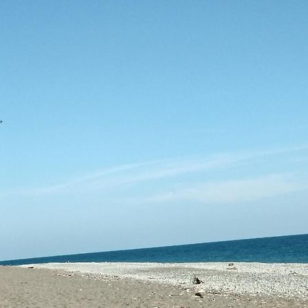 Lukomorye Pizunda Esterno foto